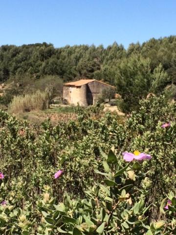 Studio Cosy Proche Mer سا سيرْ سور مير المظهر الخارجي الصورة